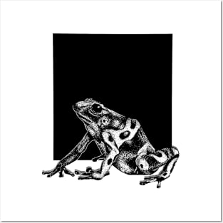 Dart Frog Posters and Art